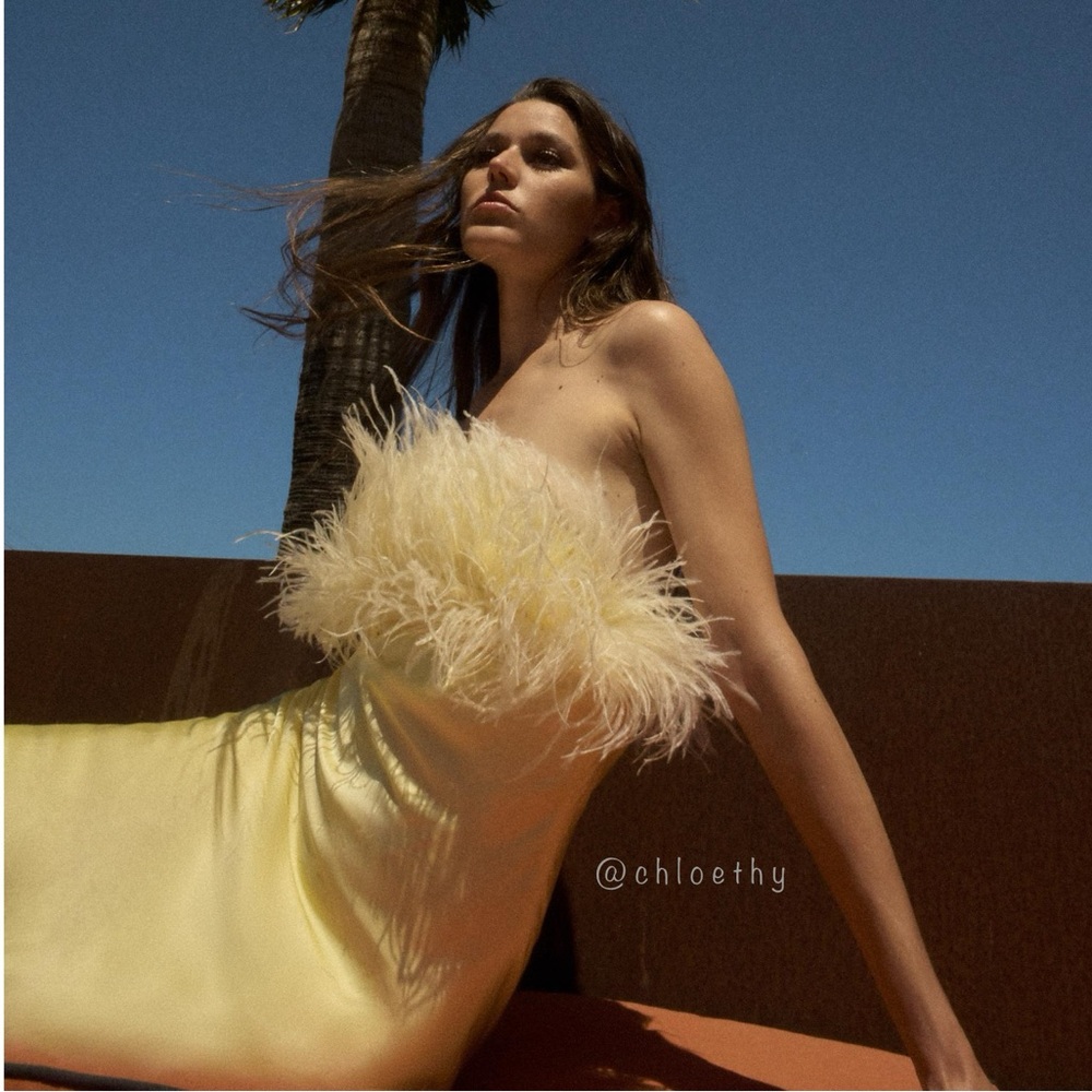 NWT Zara Yellow Feathered Dress